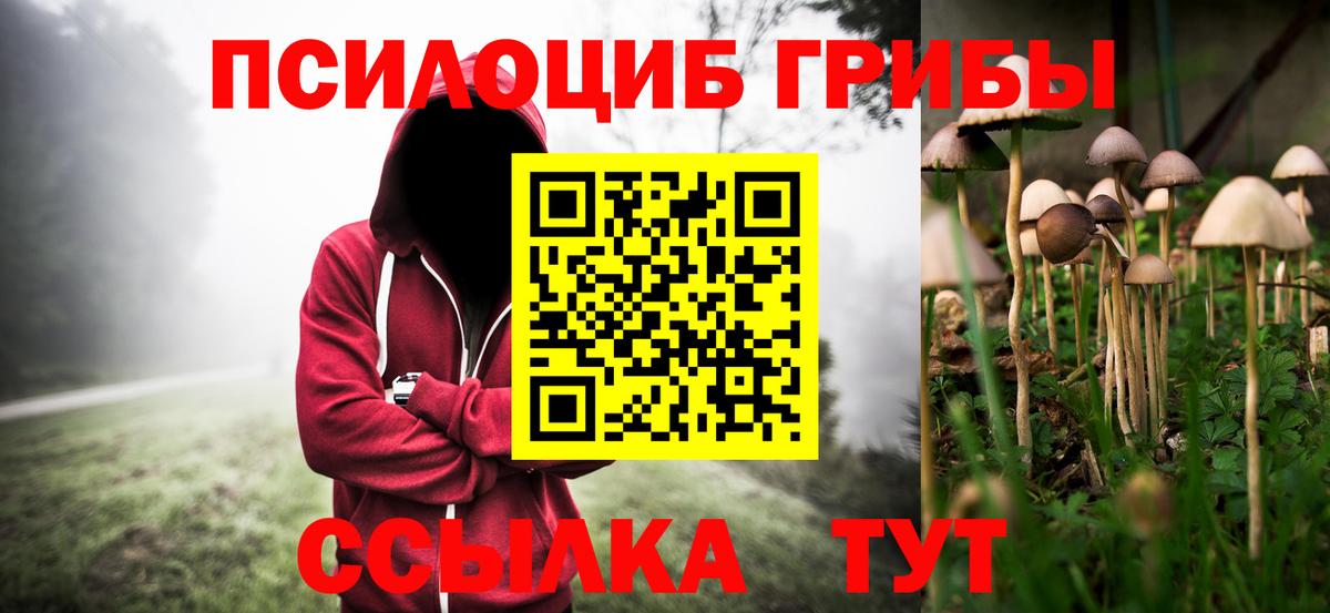 Галлюциногенные грибы Cubensis Городец